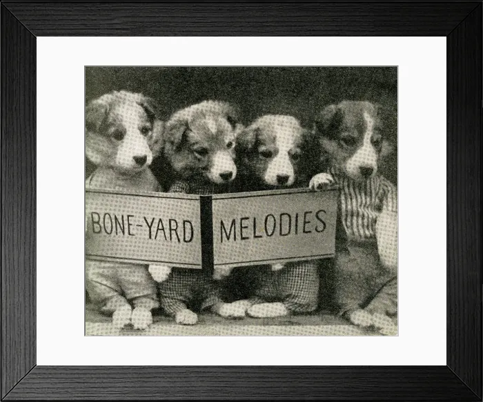 Framed Print : Cute Puppies: Boneyard Melodies Framed Print : Cute Puppies: Boneyard Melodies