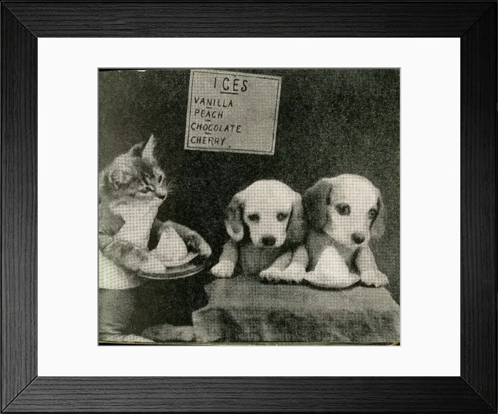 Framed Print : Cute Puppies: Ices Framed Print : Cute Puppies: Ices