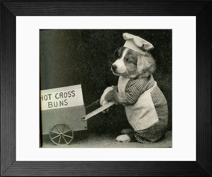 Framed Print : Cute Puppies: Hot Cross Buns Framed Print : Cute Puppies: Hot Cross Buns