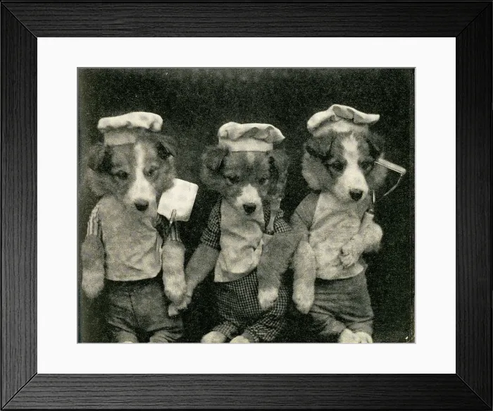 Framed Print : Cute Puppies: Three Chefs Framed Print : Cute Puppies: Three Chefs