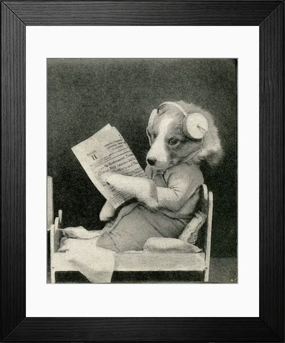 Framed Print : Cute Puppies: Don'T Disturb The Patient Framed Print : Cute Puppies: Don'T Disturb The Patient