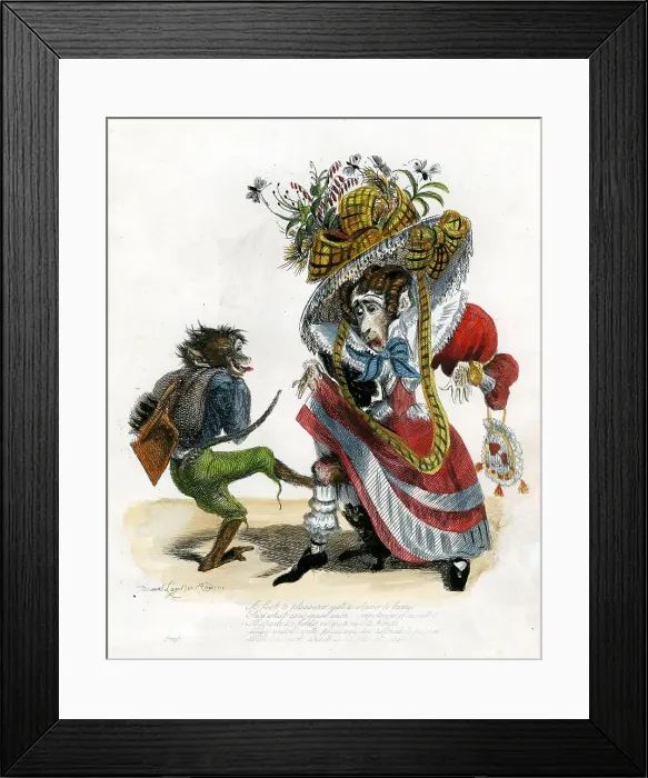 Framed Print : Monkey Cartoons Framed Print : Monkey Cartoons