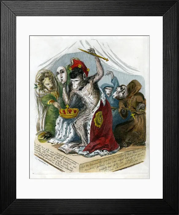 Framed Print : Monkey Cartoon Framed Print : Monkey Cartoon