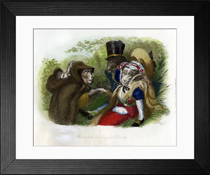 Framed Print : Monkey Cartoon Framed Print : Monkey Cartoon