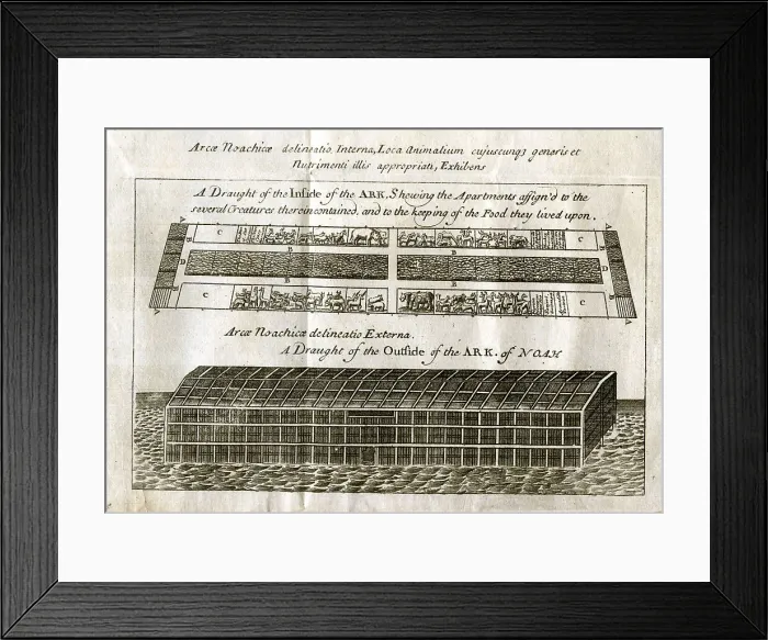 Framed Print : Noah's Ark Framed Print : Noah's Ark