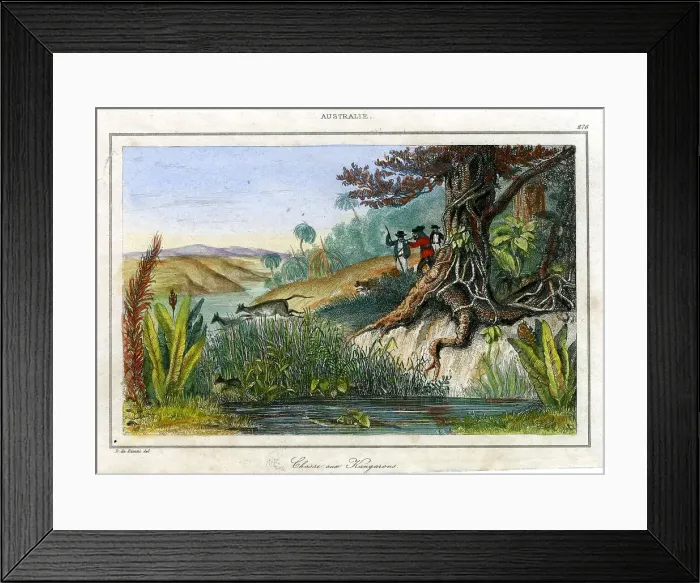 Framed Print : Western Australia - Kangaroo Chase Framed Print : Western Australia - Kangaroo Chase