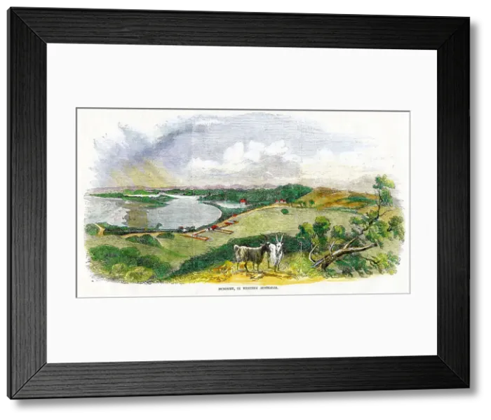 Framed Print : Western Australia - Bunbury Framed Print : Western Australia - Bunbury