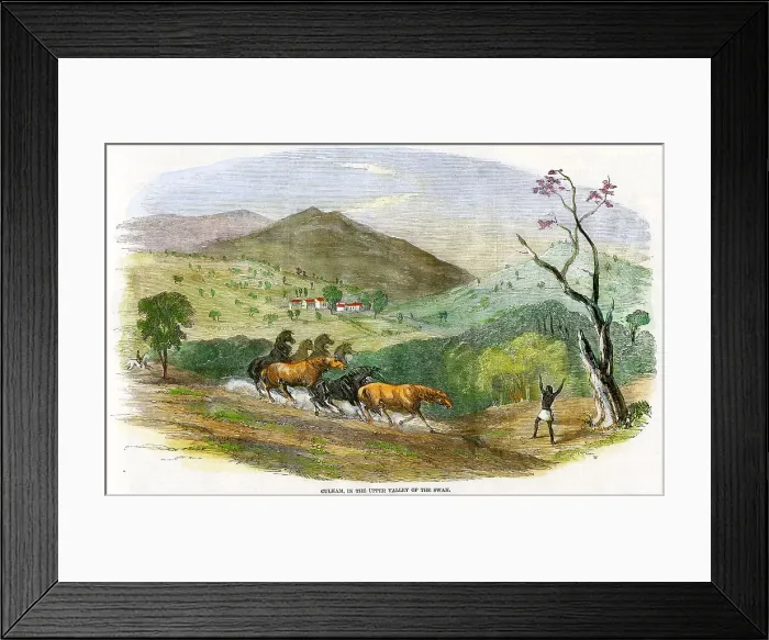 Framed Print : Western Australia - Culham - Upper Valley of The Swan Framed Print : Western Australia - Culham - Upper Valley of The Swan