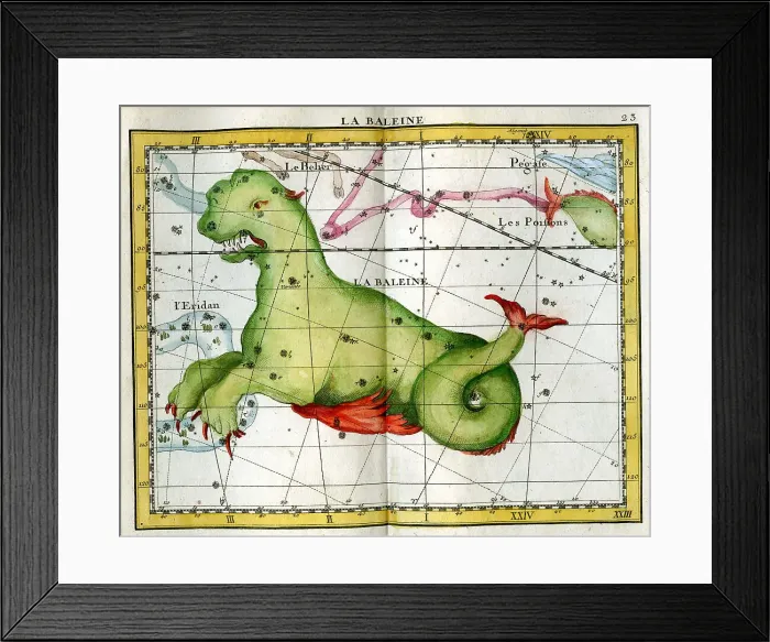 Framed Print : La Baleine Framed Print : La Baleine
