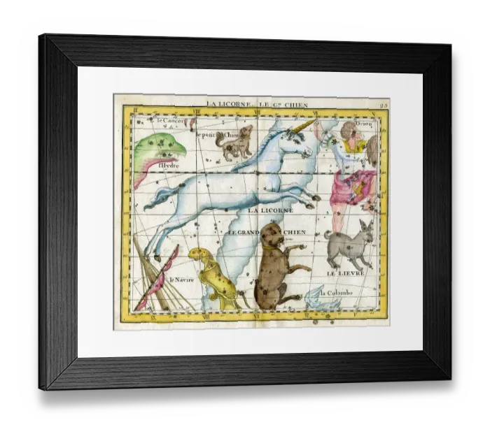 Framed Print : Unicorn and Dog Framed Print : Unicorn and Dog