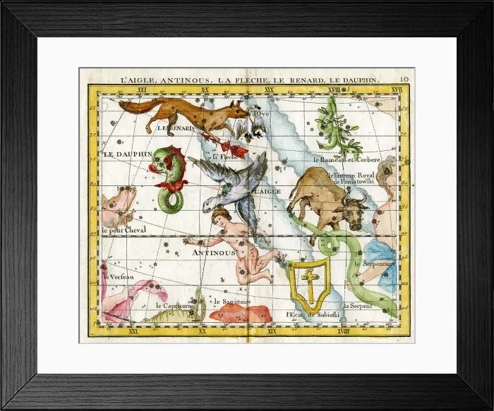 Framed Print : Eagle Antonious, Arrow, Fox, Dolphin Framed Print : Eagle Antonious, Arrow, Fox, Dolphin