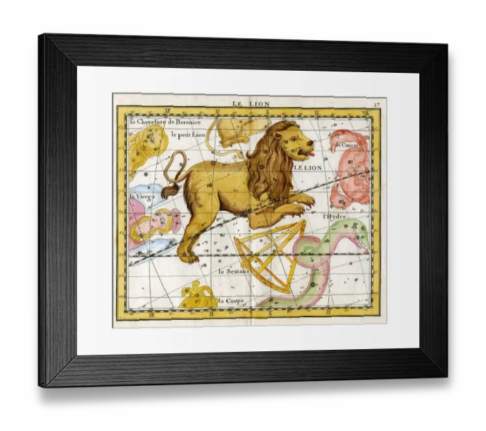Framed Print : Lion - Leo Framed Print : Lion - Leo
