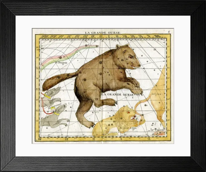 Framed Print : Great Bear Framed Print : Great Bear
