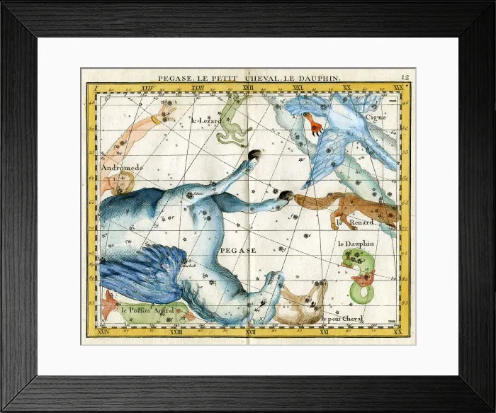 Framed Print : Pegasus, Little Horse, Dolphin Framed Print : Pegasus, Little Horse, Dolphin