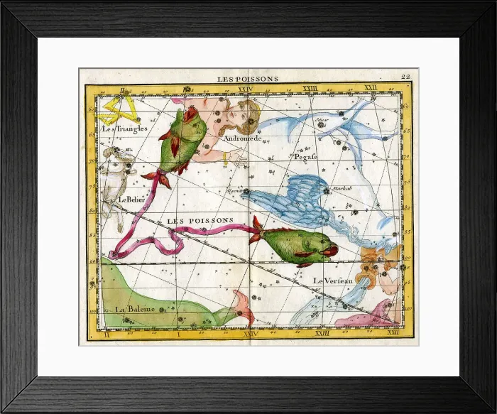 Framed Print : Les Poissons (Fishes) Framed Print : Les Poissons (Fishes)