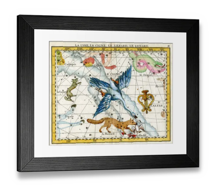 Framed Print : Lyre, Cygne (Swan), Lizard, Fox Framed Print : Lyre, Cygne (Swan), Lizard, Fox