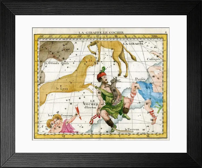 Framed Print : Giraffe, Cocher Framed Print : Giraffe, Cocher