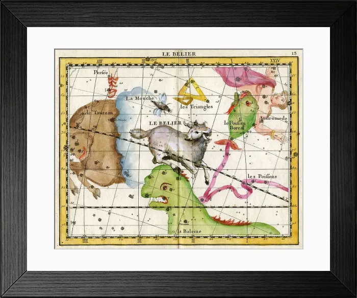 Framed Print : Sheep Framed Print : Sheep