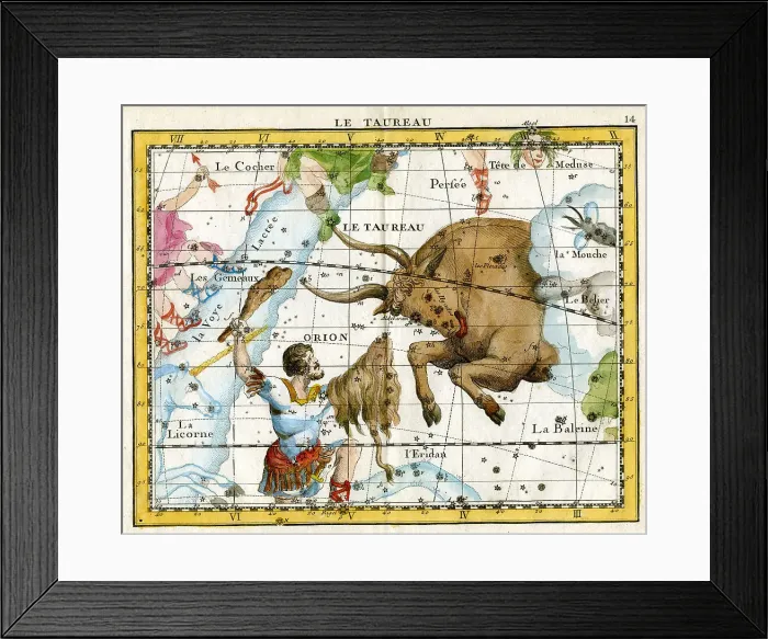 Framed Print : Taurus - Bull Framed Print : Taurus - Bull