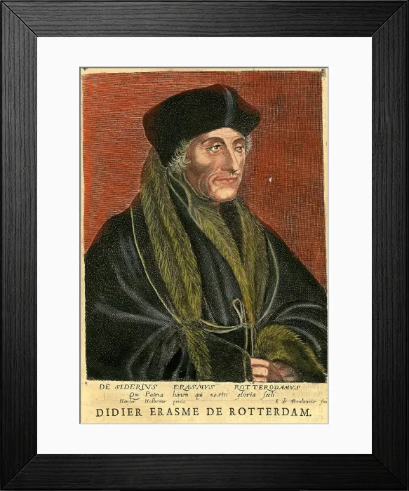 Framed Print : Didier Erasmus Framed Print : Didier Erasmus