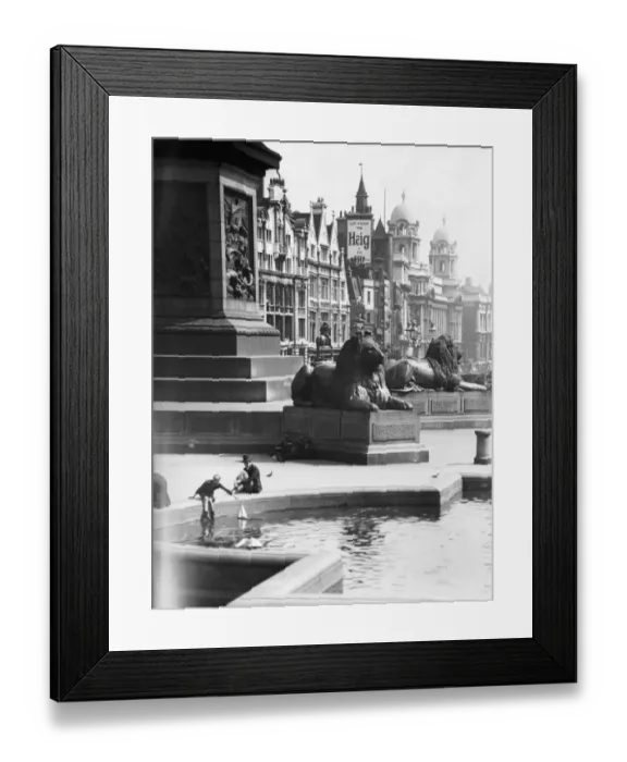 Framed Print : Trafalgar Square Lions Framed Print : Trafalgar Square Lions
