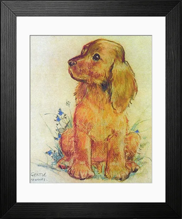 Framed Print : Gentle, a puppy, by Muriel Dawson Framed Print : Gentle, a puppy, by Muriel Dawson