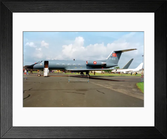 Framed Print : Grumman G-1159A Gulfstream G-III F-313 Framed Print : Grumman G-1159A Gulfstream G-III F-313