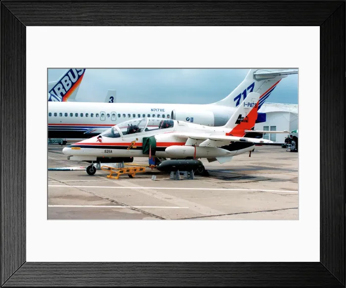 Framed Print : SIAI-Marchetti M.311 I-PATS Framed Print : SIAI-Marchetti M.311 I-PATS