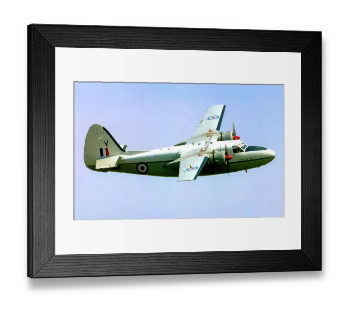 Framed Print : Percival Pembroke C.1 G-BNPH / WV740 Framed Print : Percival Pembroke C.1 G-BNPH / WV740