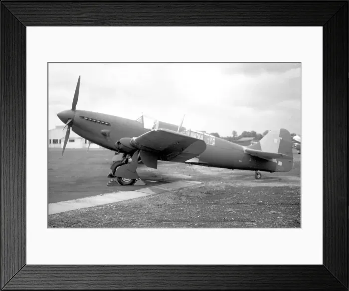 Framed Print : Fairey Firefly AS.5 VT462 Framed Print : Fairey Firefly AS.5 VT462