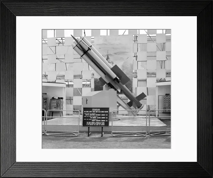 Framed Print : Armstrong Whitworth Sea Slug Framed Print : Armstrong Whitworth Sea Slug