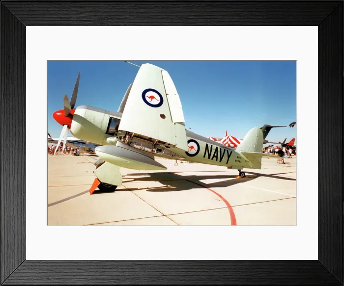 Framed Print : Hawker Sea Fury FB.11 N260X Framed Print : Hawker Sea Fury FB.11 N260X