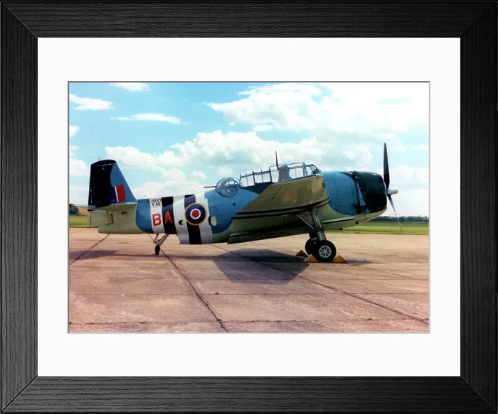 Framed Print : General Motors TBM-3E Avenger N6827C Framed Print : General Motors TBM-3E Avenger N6827C