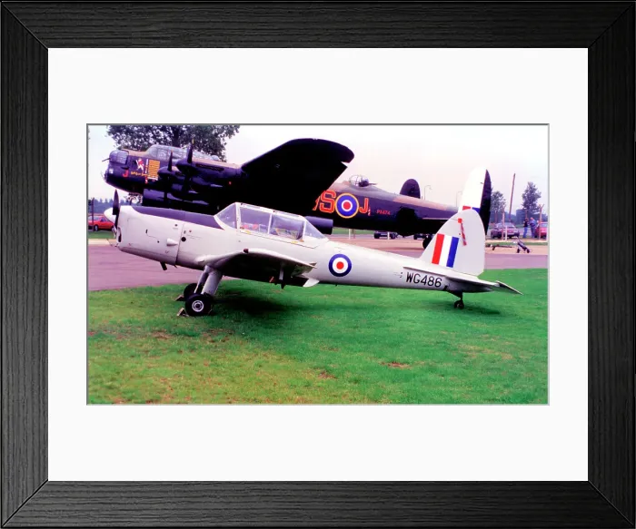 Framed Print : de Havilland DHC-1 Chipmunk T.10 WG486 Framed Print : de Havilland DHC-1 Chipmunk T.10 WG486