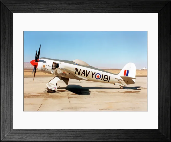 Framed Print : Hawker Sea Fury FB.11 N60SF Framed Print : Hawker Sea Fury FB.11 N60SF