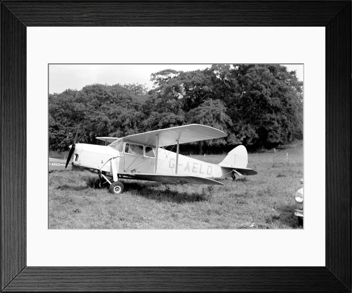 Framed Print : de Havilland DH.87B Hornet Moth G-AELO Framed Print : de Havilland DH.87B Hornet Moth G-AELO