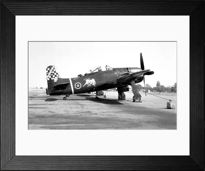 Framed Print : Grumman F8F-1 Bearcat 485 Framed Print : Grumman F8F-1 Bearcat 485