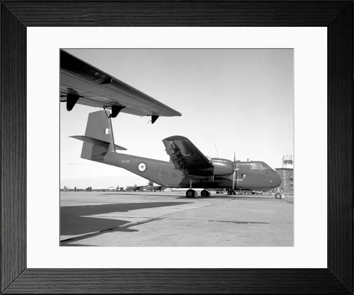 Framed Print : Westland Scout AH.1 XP167 Framed Print : Westland Scout AH.1 XP167