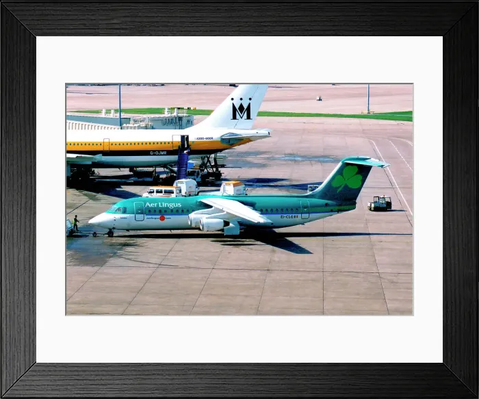 Framed Print : British Aerospace 146-300 EI-CLG Fionnbar Framed Print : British Aerospace 146-300 EI-CLG Fionnbar