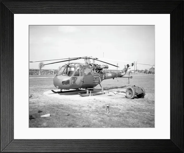 Framed Print : Saro P.531-2 - Scout AH.1 XR436 Framed Print : Saro P.531-2 - Scout AH.1 XR436