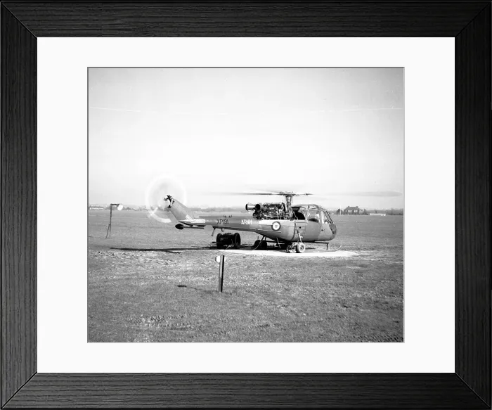 Framed Print : Saro P.531-2 - Scout AH.1 XP191 Framed Print : Saro P.531-2 - Scout AH.1 XP191