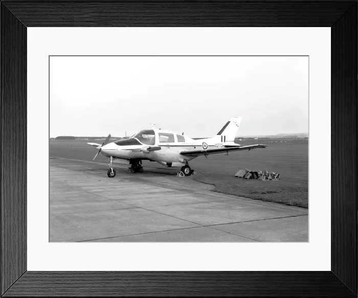 Framed Print : Beagle Basset CC.1 XS772 Framed Print : Beagle Basset CC.1 XS772