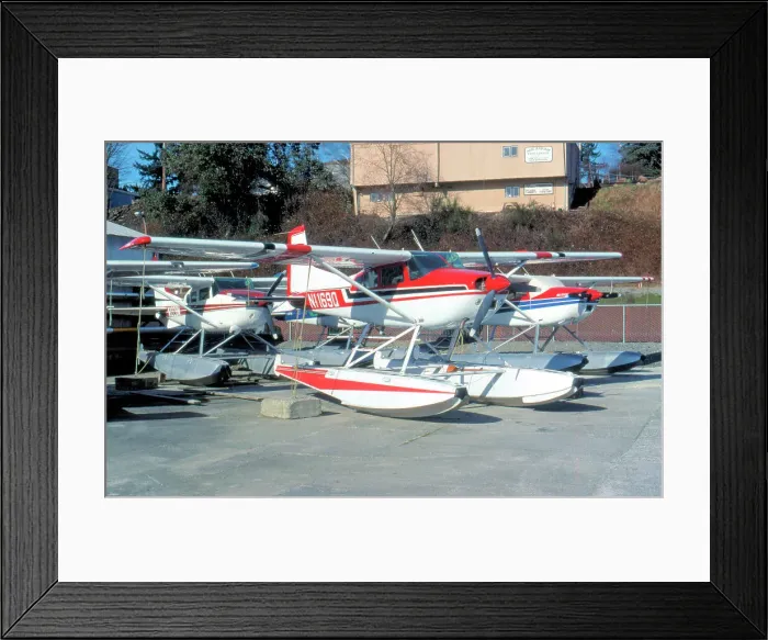 Framed Print : Cessna A185F Skywagon N1169Q Framed Print : Cessna A185F Skywagon N1169Q