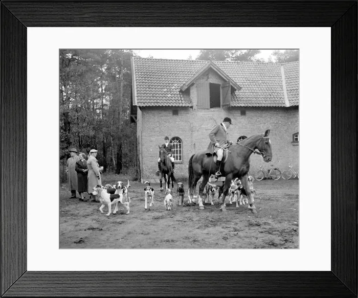 Framed Print : Fox hunting Framed Print : Fox hunting