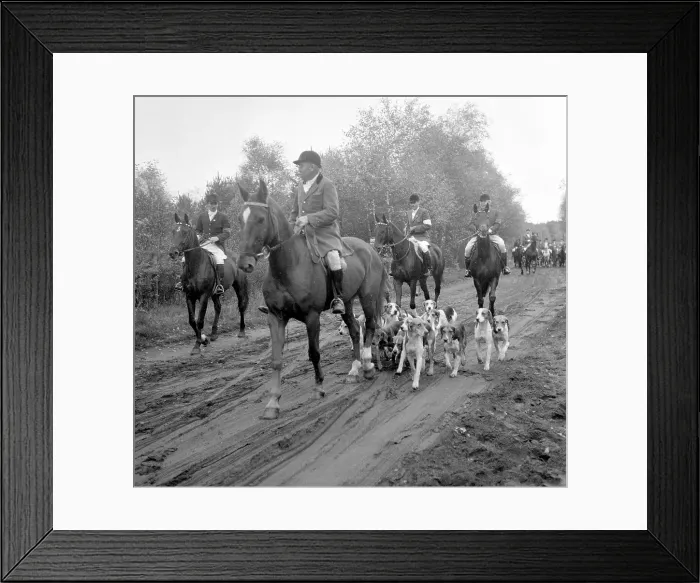 Framed Print : Fox hunting Framed Print : Fox hunting