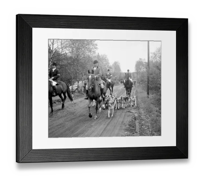 Framed Print : Fox hunting Framed Print : Fox hunting