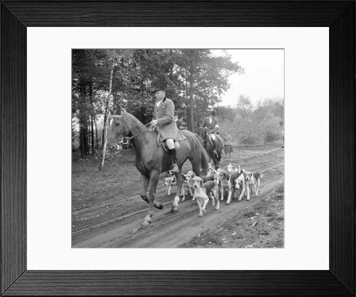 Framed Print : Fox hunting Framed Print : Fox hunting