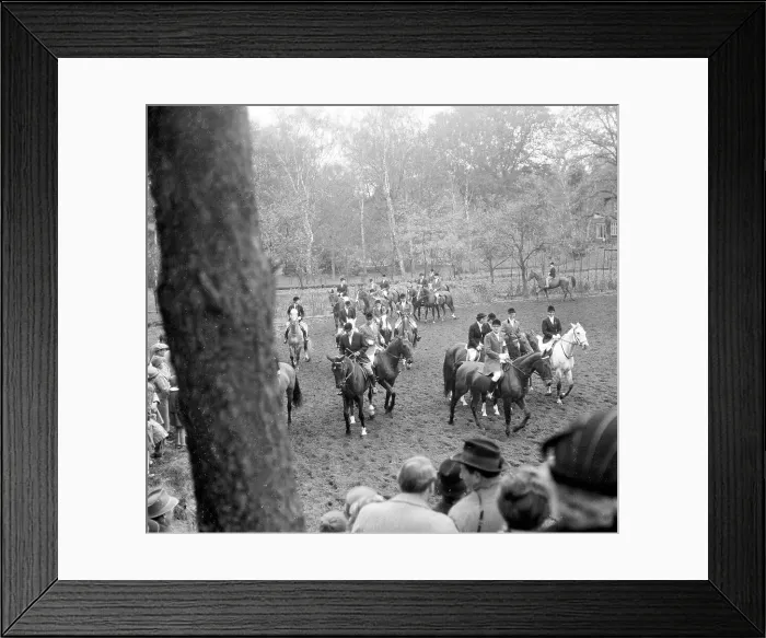 Framed Print : Fox hunting Framed Print : Fox hunting