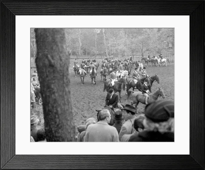 Framed Print : Fox hunting Framed Print : Fox hunting