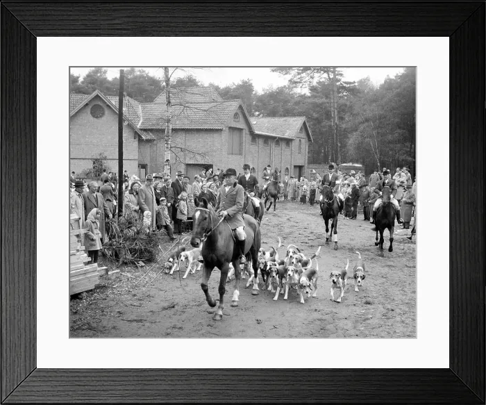 Framed Print : Fox hunting Framed Print : Fox hunting